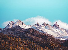 罗塞尼尔出任英超切尔西队主教练