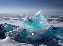 罗塞尼尔出任英超切尔西队主教练